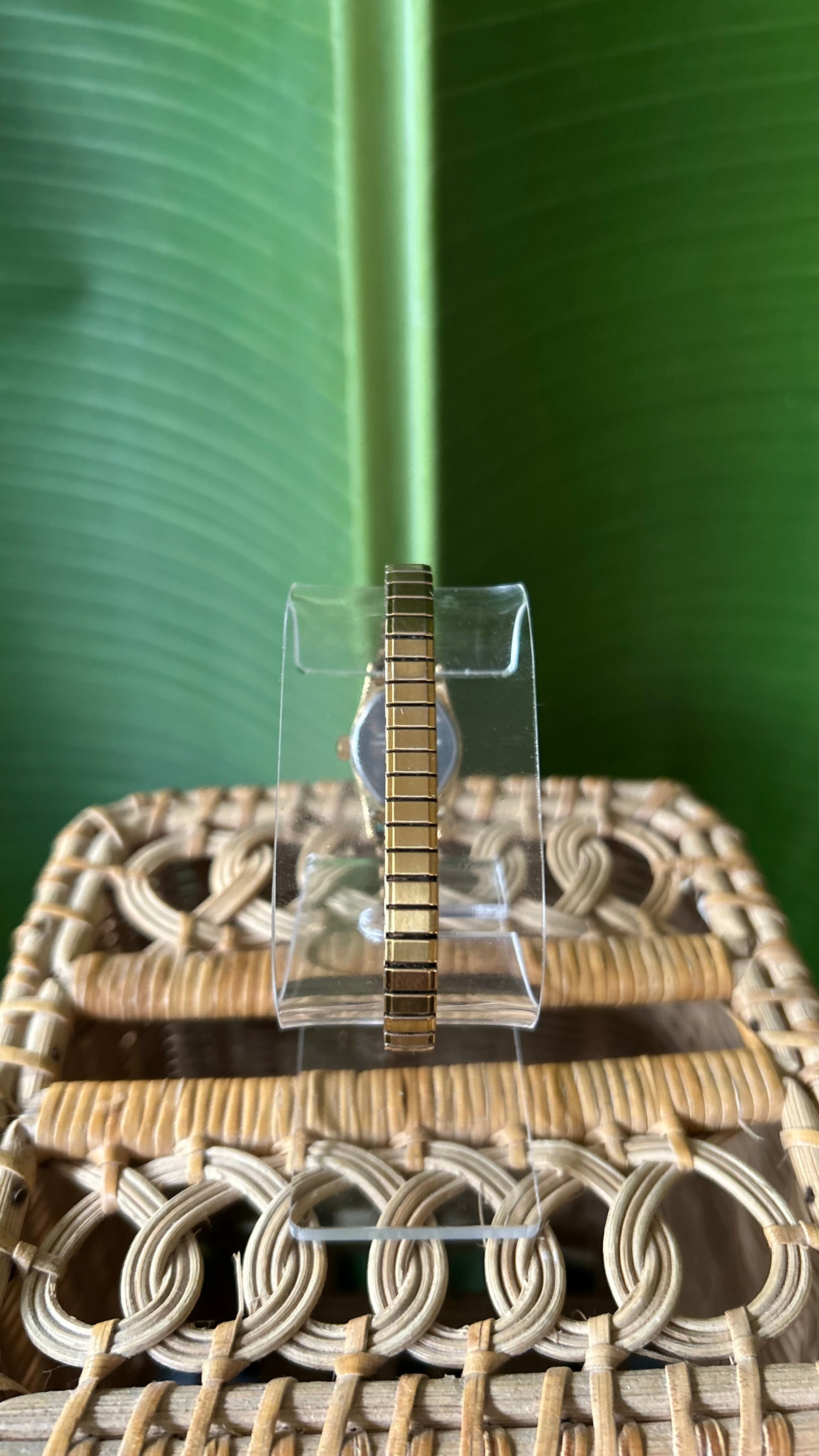 Vintage Oval TIMEX GOLD Watch