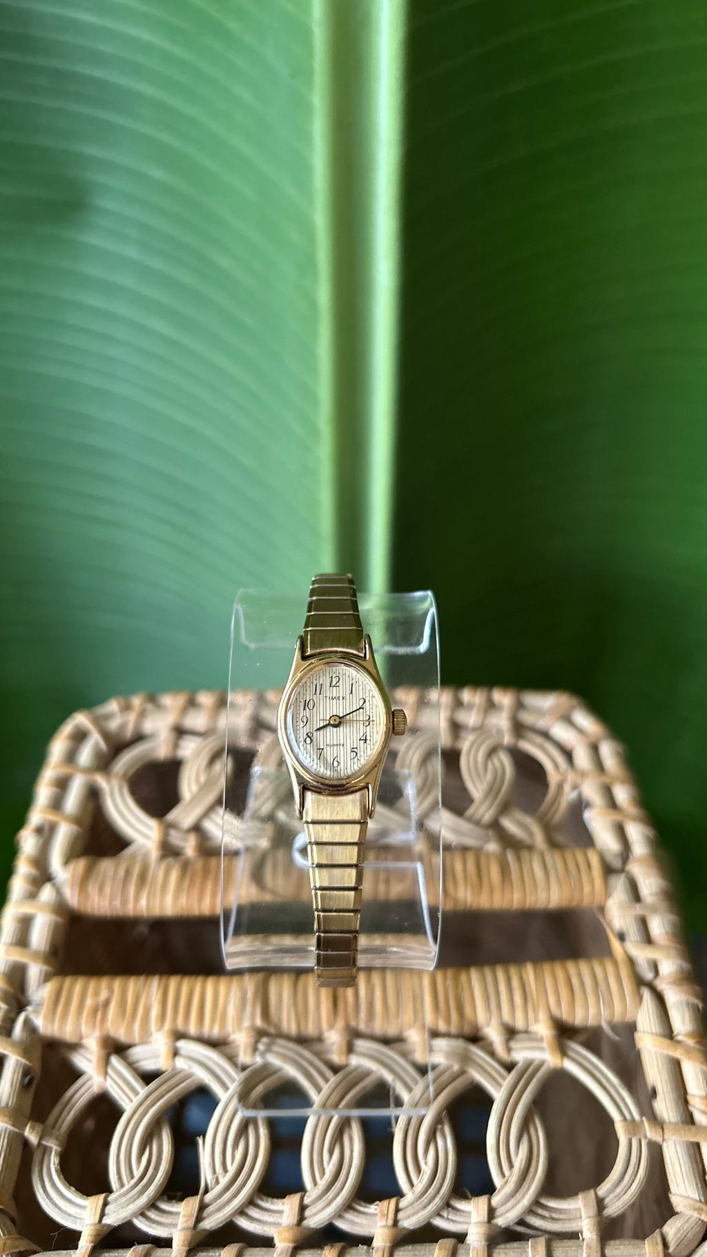 Vintage Oval TIMEX GOLD Watch