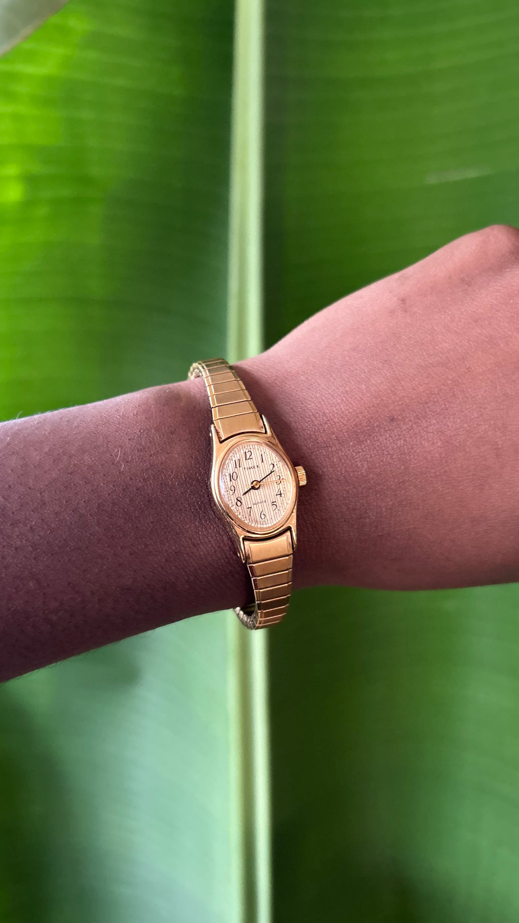 Vintage Oval TIMEX GOLD Watch