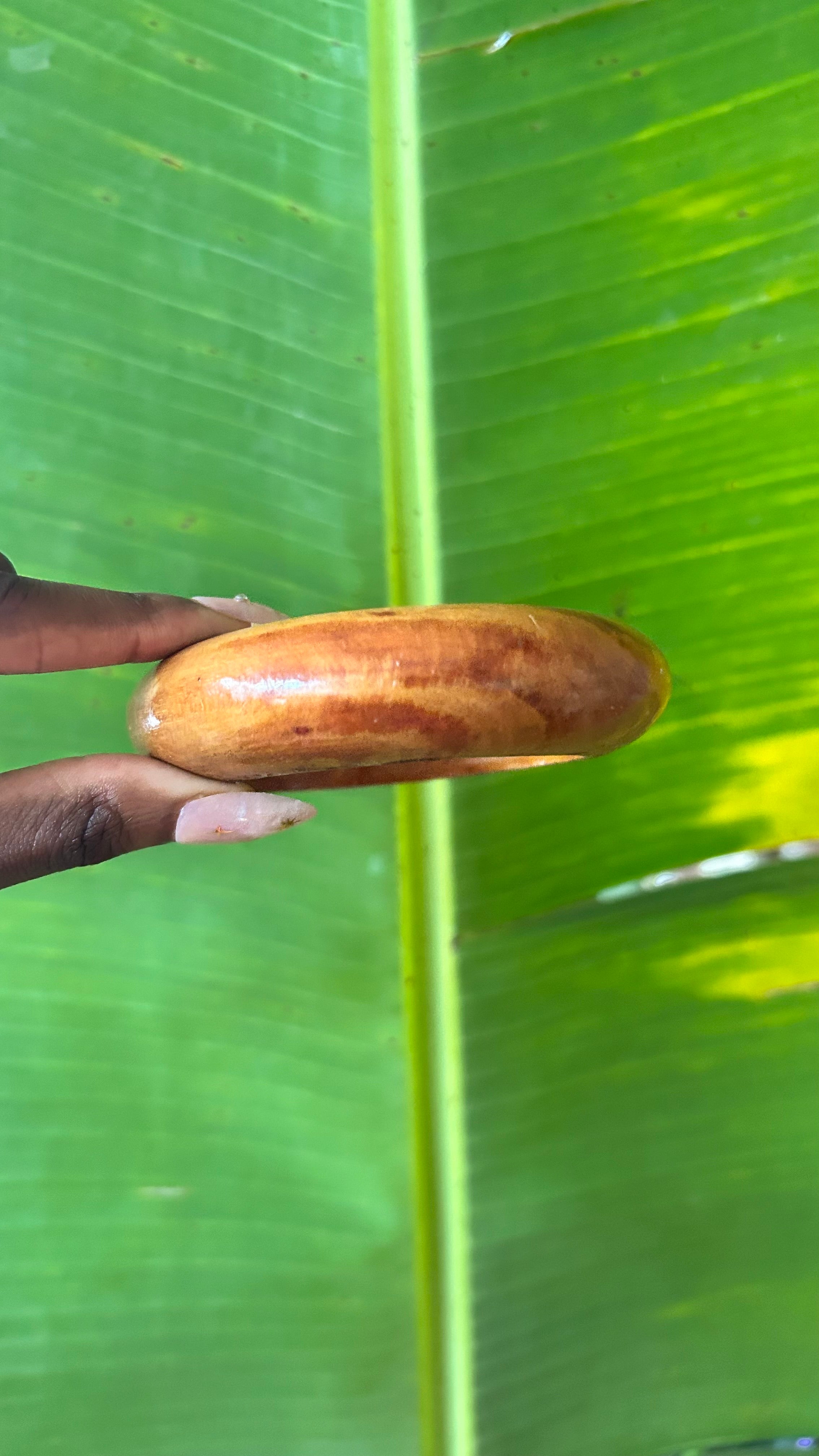 Honey glazed wooden bangle